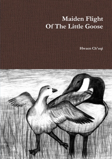 Maiden Flight Of The Little Goose