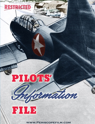 WWII U.S. Army Air Forces Pilot's Information File