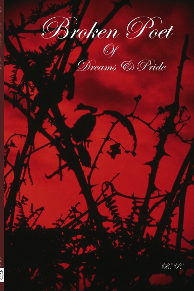 Broken Poet Of Dreams & Pride ( Hardback)
