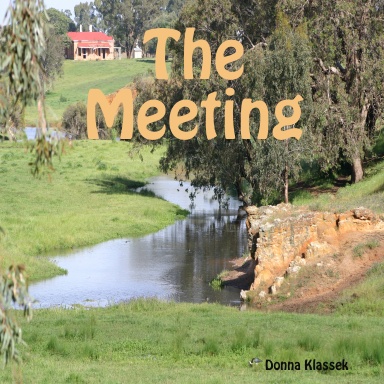 The Meeting