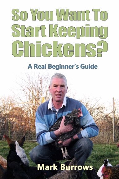 So You Want To Start Keeping Chickens?