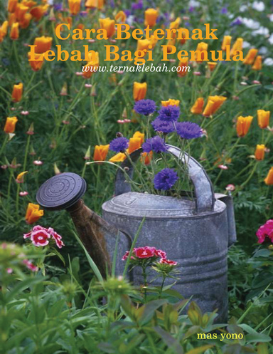 Cara Beternak Lebah Bagi Pemula