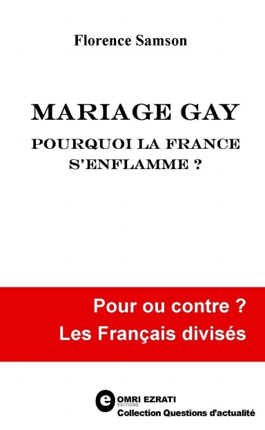 Mariage gay, pourquoi la France s'enflamme ?