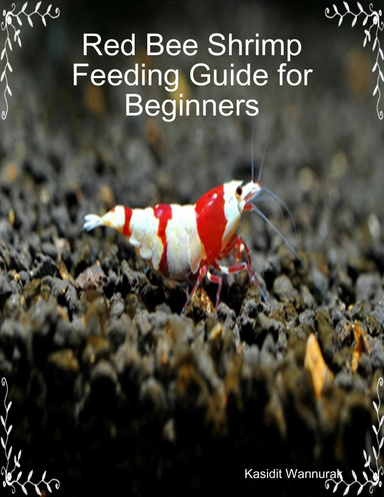Red Bee Shrimp Feeding Guide for Beginners