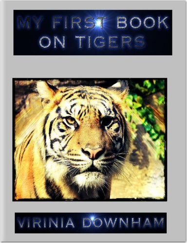 My First Book On Tigers
