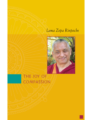The Joy of Compassion