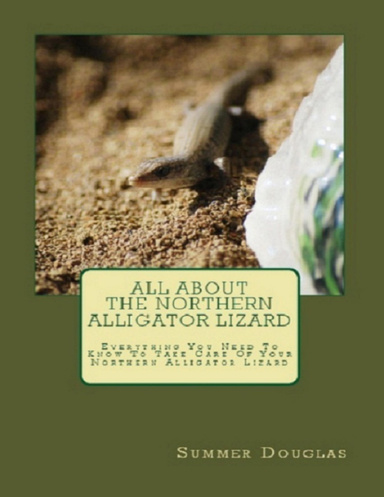 All About The Northern Alligator Lizard: Everything You Need To Know To Take Care Of Your Northern Alligator Lizard