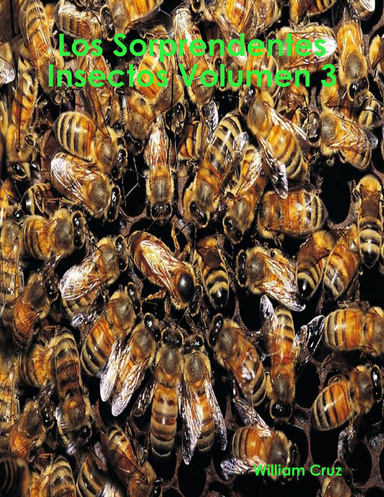 Los Sorprendentes Insectos Volumen 3