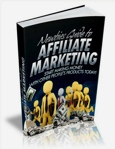 Newbies Guide to Affiliate Marketing