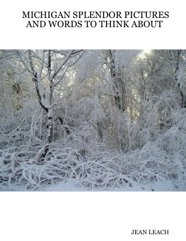 MICHIGAN SPLENDOR PICTURES AND WORDS TO THINK ABOUT