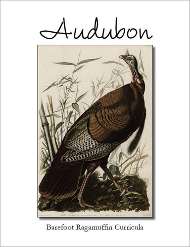 Mini-Unit: Audubon