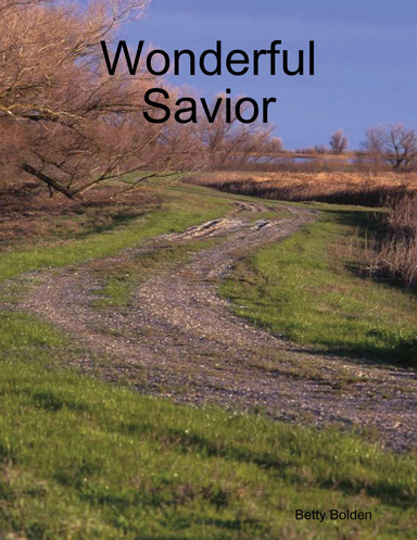 Wonderful Savior