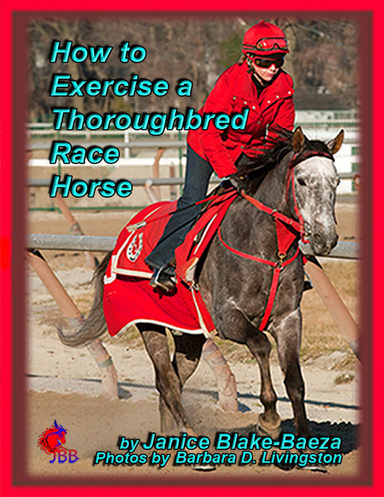 How to Exercise a Thoroughbred Race Horse
