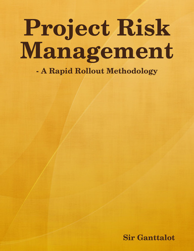 Project Risk Management - A Rapid Rollout Methodology