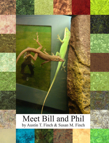 Bill & Phil: Why Anole Lizards are good pets
