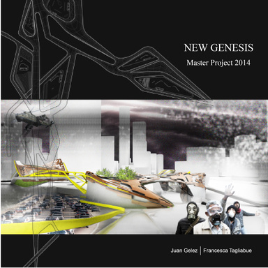 New Genesis Master Project 2014