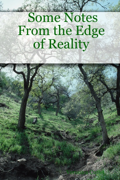 Some Notes From the Edge of Reality