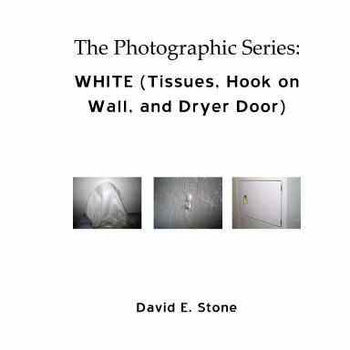 WHITE (Tissues, Hook on Wall, and Dryer Door)