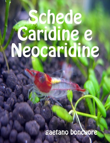 Schede Caridine e Neocaridine