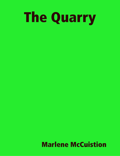 The Quarry