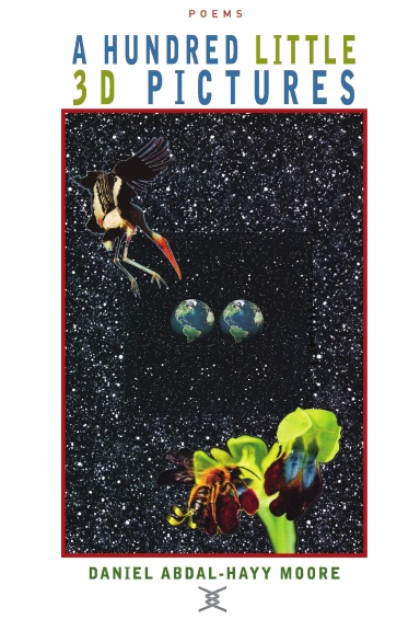 A Hundred Little 3D Pictures / Poetry