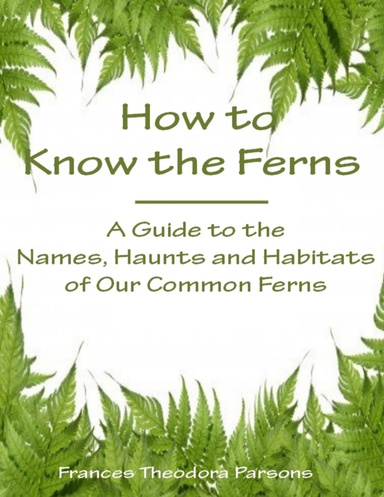 How to Know the Ferns : A Guide to the Names, Haunts and Habitats of Our Common Ferns (Illustrated)
