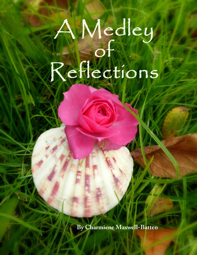 A Medley of Reflections