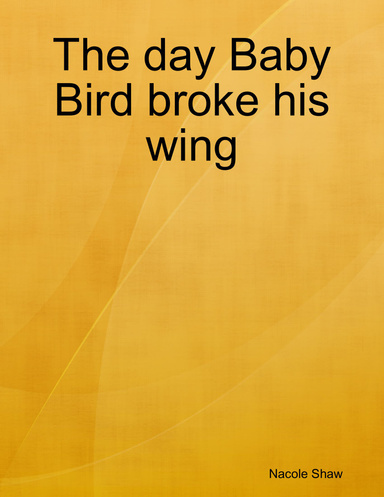 The day Baby Bird broke his wing