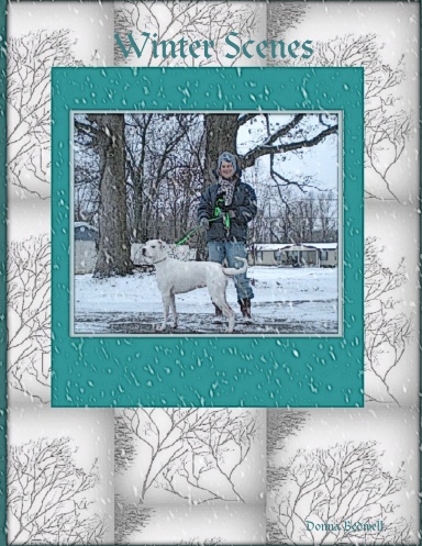 Winter Scenes