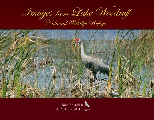Images from Lake Woodruff National Wildlife Refuge