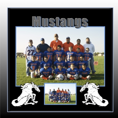 2009 Mustangs