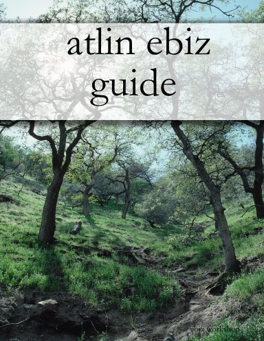 atlin ebiz guide