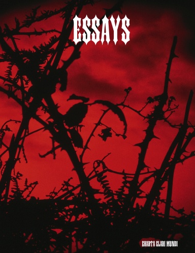 ESSAYS