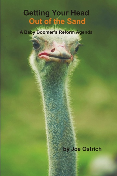 Getting Your Head Out of the Sand - A Baby Boomer's Reform Agenda