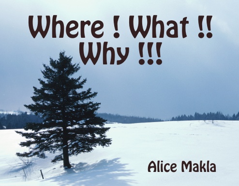 Where ! What !! Why !!!