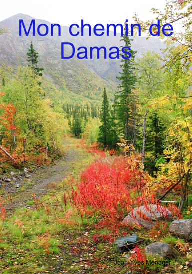 Mon chemin de Damas