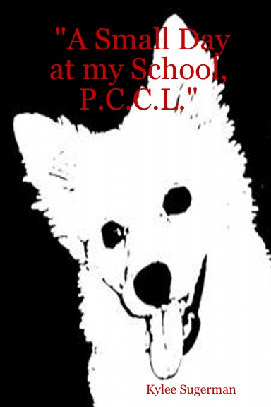 "A Small Day at my School, P.C.C.L."