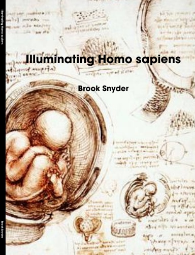 Illuminating Homo sapiens
