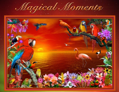 Magical Moments