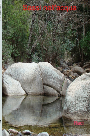 Sassi nell'acqua