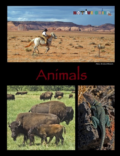 Animals