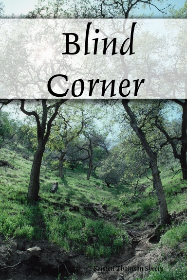 Blind Corner