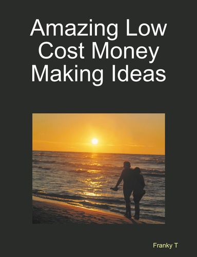 Amazing Low Cost Money Making Ideas