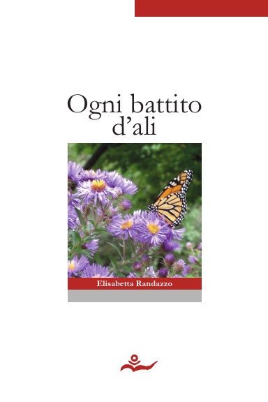 Ogni battito d'ali