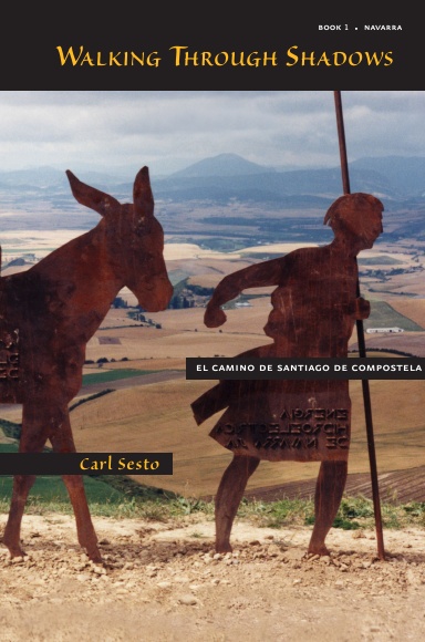 Walking Through Shadows