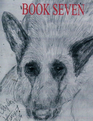 BOOK SEVEN