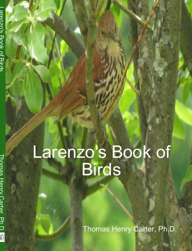 Larenzo's Book of Birds