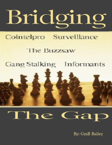 Bridging The Gap