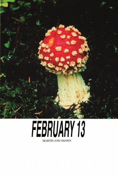 feb 13