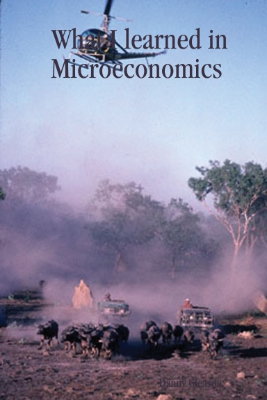 What I learned in Microeconomics